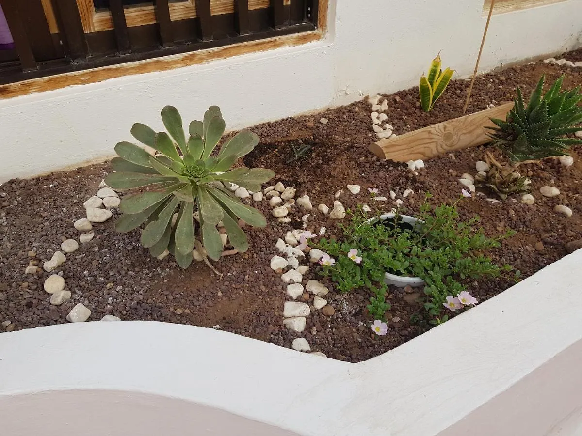 Mantra Del Sur Apartment Los Cristianos   Los Cristianos (Tenerife)
